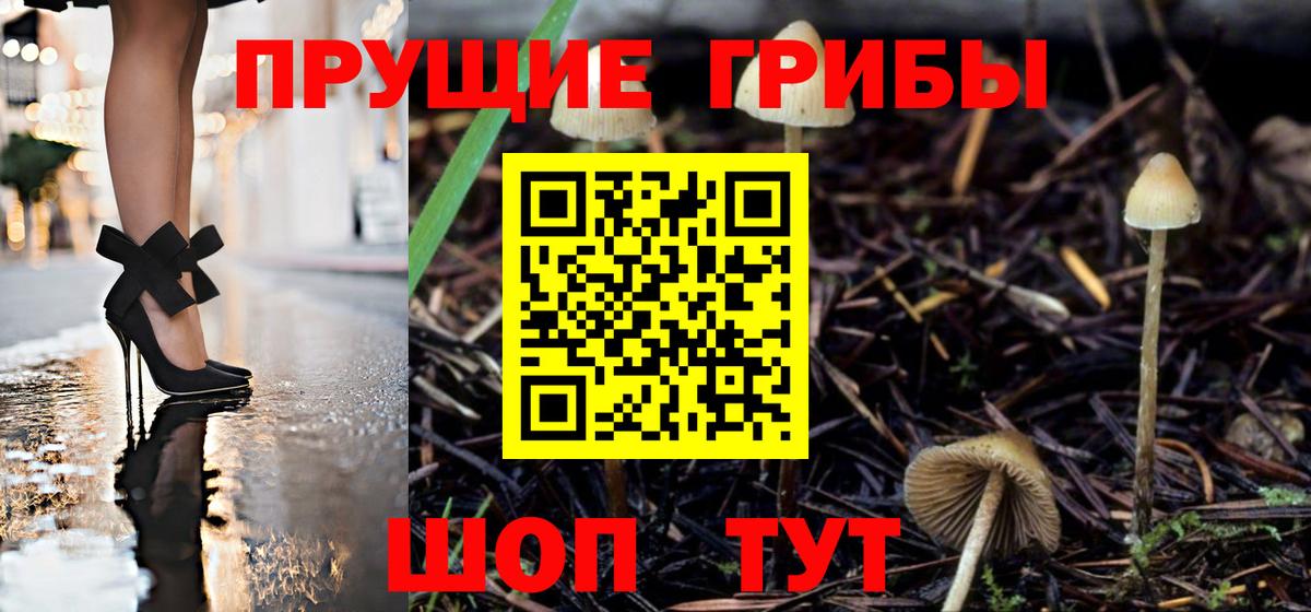 Галлюциногенные грибы прущие грибы  купить  цена  Белогорск  Вход с VPN  Псилоцибиновые грибы MAGIC MUSHROOMS 